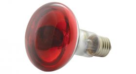 QTX R80 Reflector Bulb E27 Red - 160.002UK