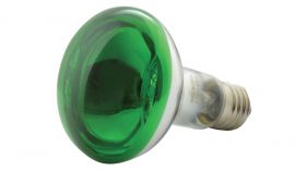 QTX R80 Reflector Bulb E27 Green - 160.004UK