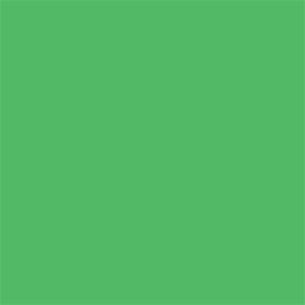 FX Lab Coloured Gel Sheet 48""x21"" Colour Pale Green 138