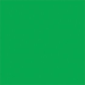 FX Lab Coloured Gel Sheet 48""x21"" Colour Fern Green 122