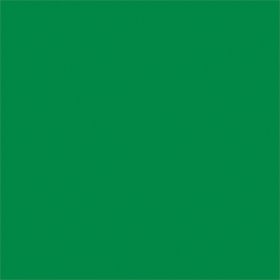 FX Lab Coloured Gel Sheet 48""x21"" Colour Dark Green 124
