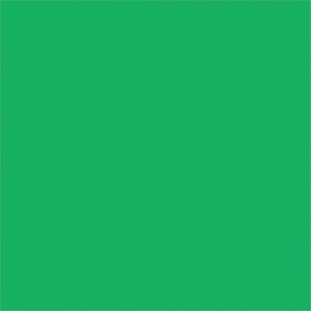 FX Lab Coloured Gel Sheet 48""x21"" Colour Primary Green 139