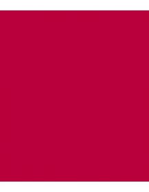 Rosco E-Colour Filter Full  Sheet 787 Marius Red