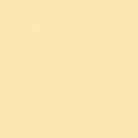 Rosco E-Colour Filter Full  Sheet 764 Sun Colour Straw